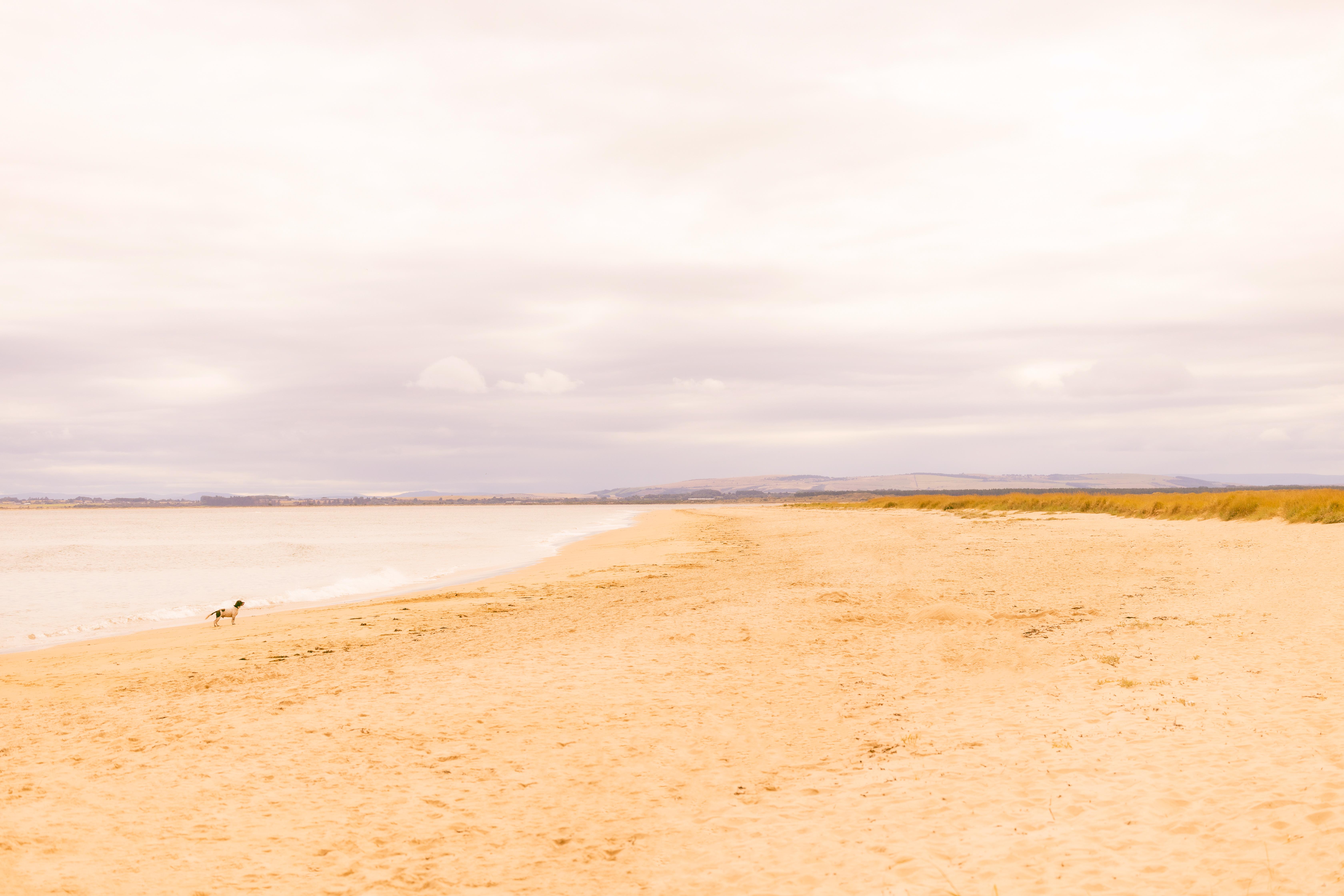 Dornoch Station Hotell Exteriör bild The beach at West Bay