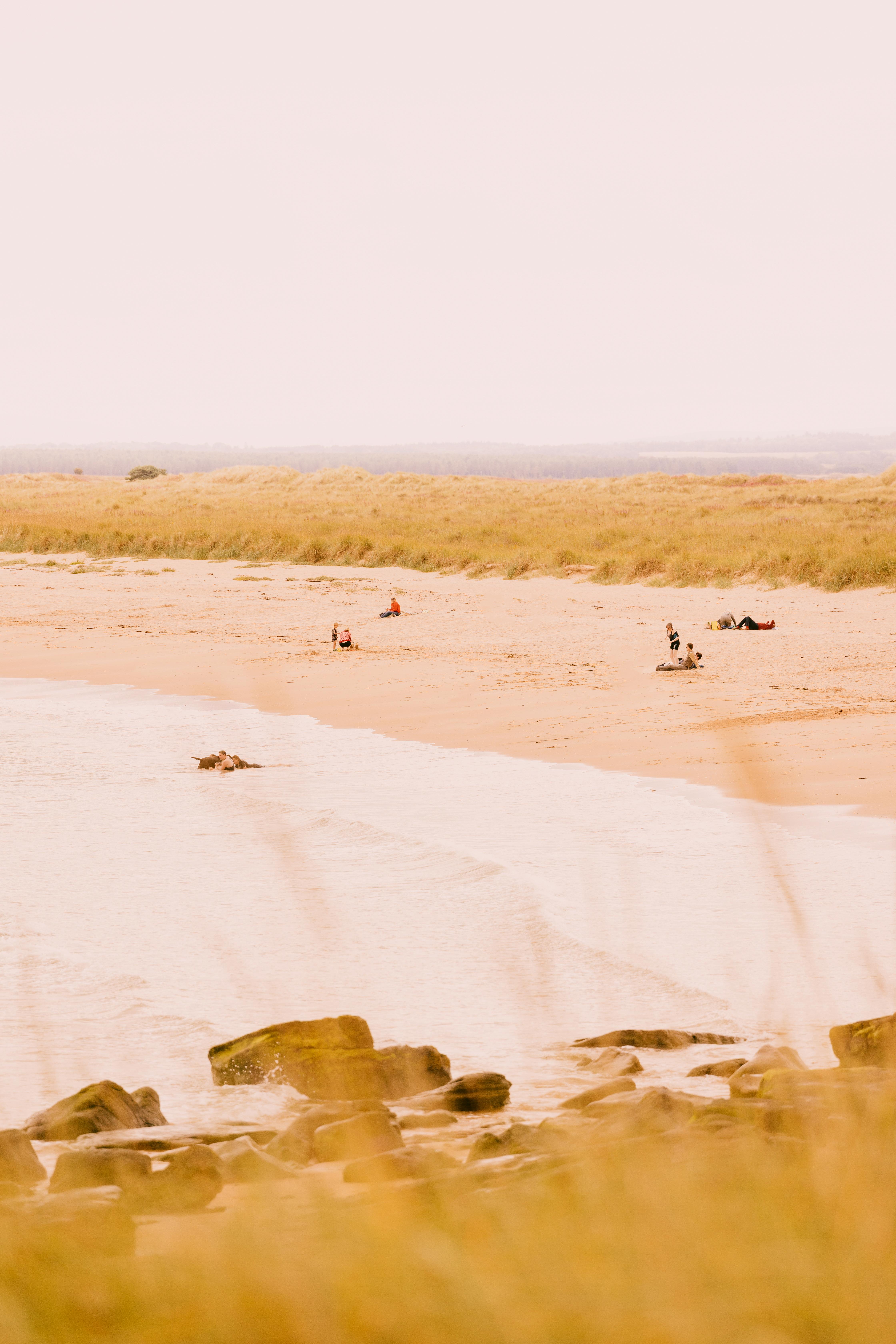 Dornoch Station Hotell Exteriör bild The beach at the Cape of Good Hope