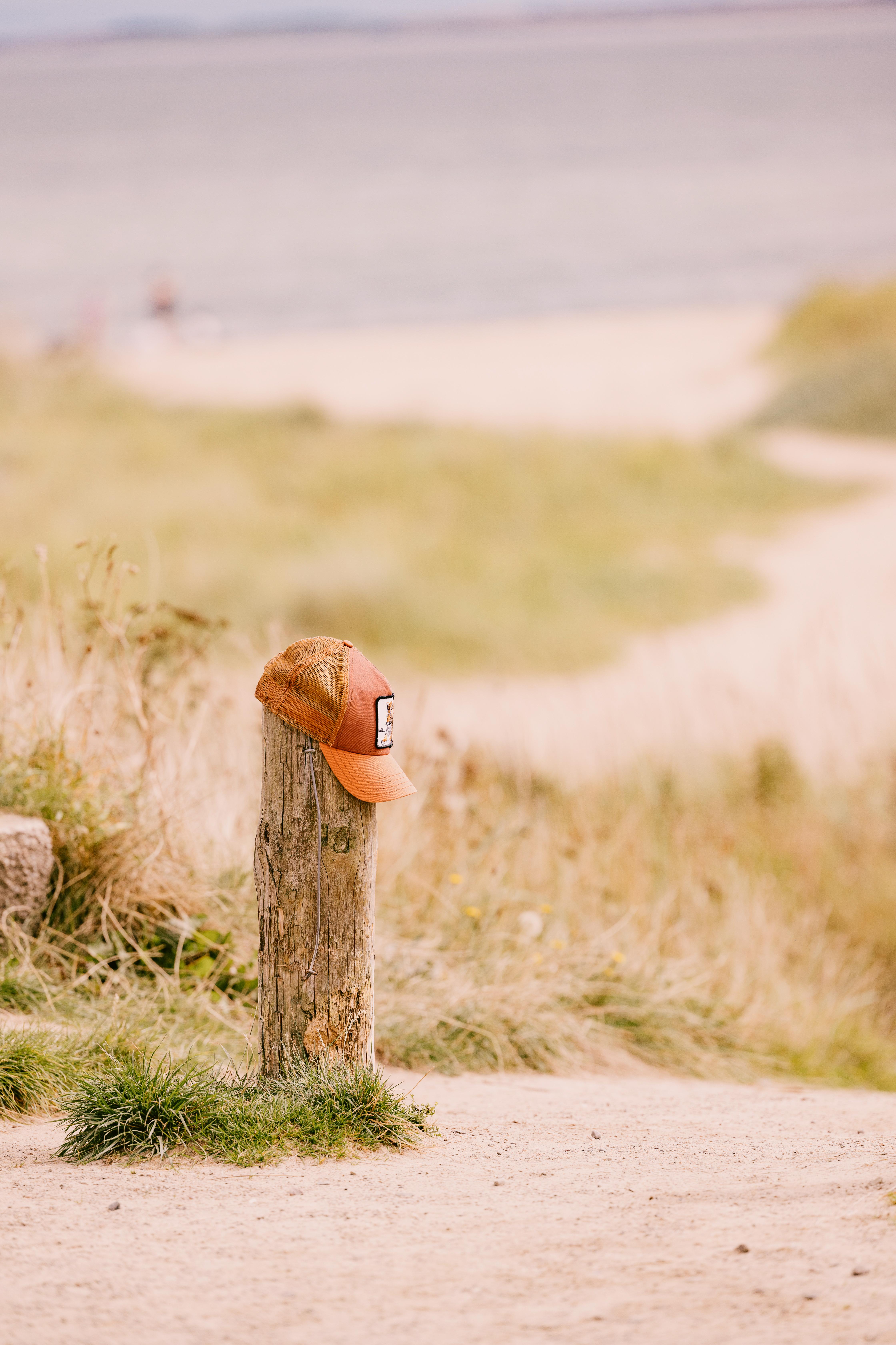 Dornoch Station Hotell Exteriör bild A hat on a fence post